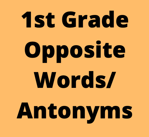1st Grade Opposite Words/Antonyms