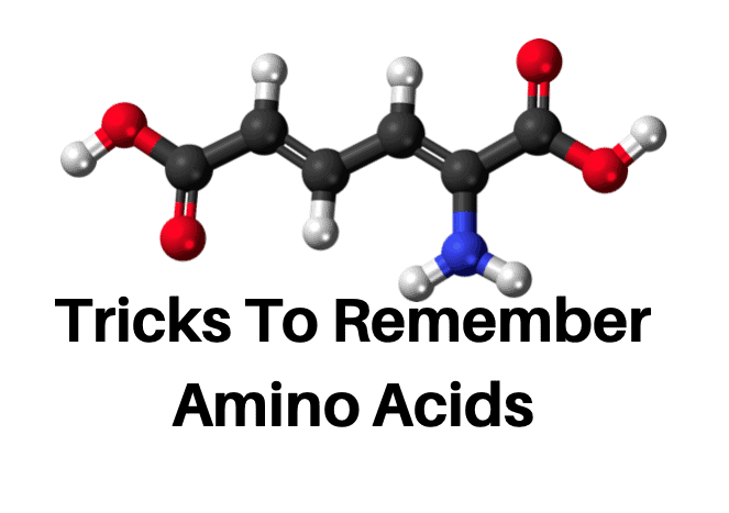 Tricks To Remember Amino Acids PDF Download